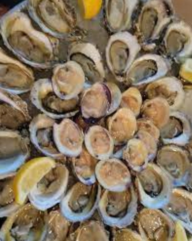 Treasure Coast Oysters (100ct)