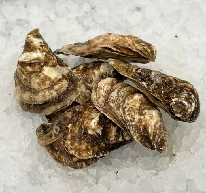 Maryland Blue Point Oysters (100ct)