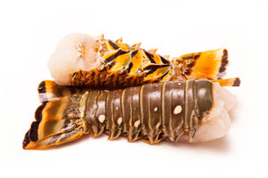 Florida Fresh Lobster Tail